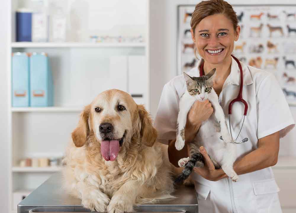 Pets and Pet Care